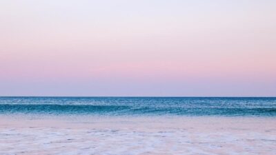 【年始のご挨拶】2026年、海とともにスタート